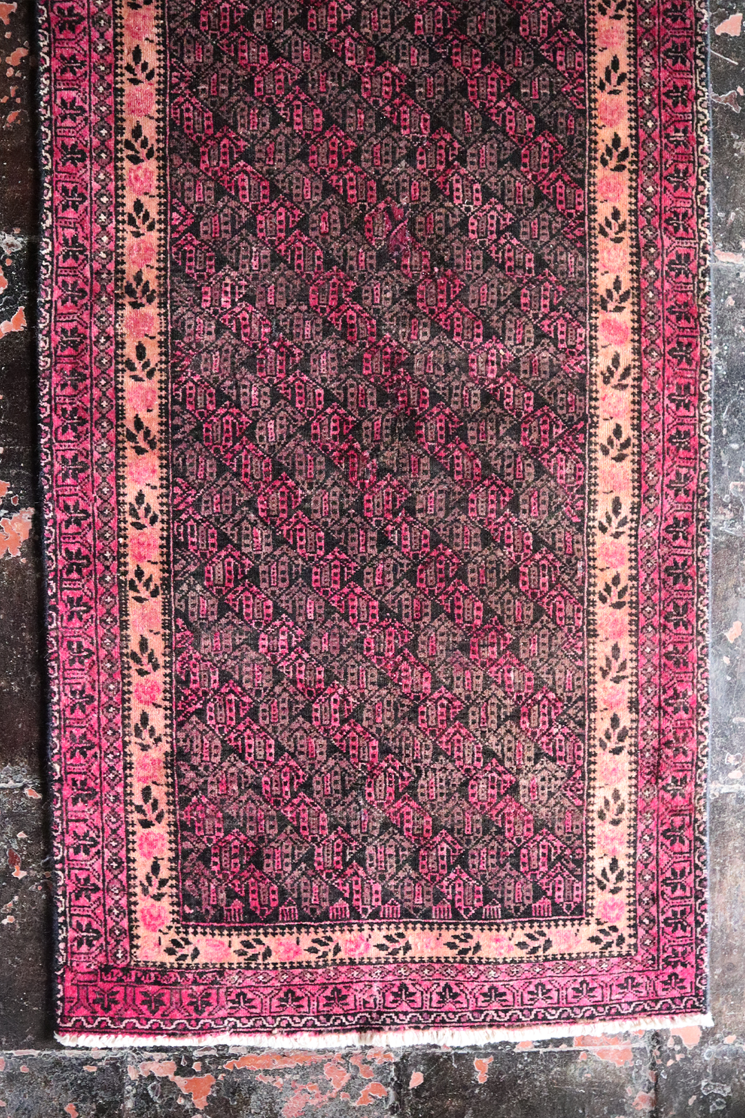 Persian Balouch